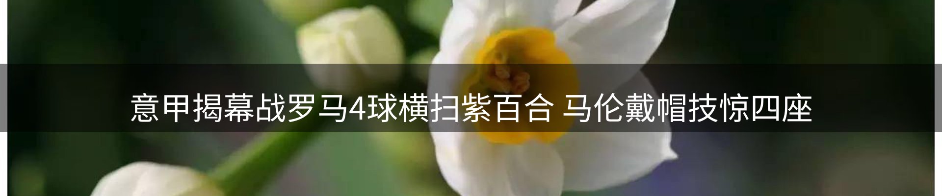 资讯动态