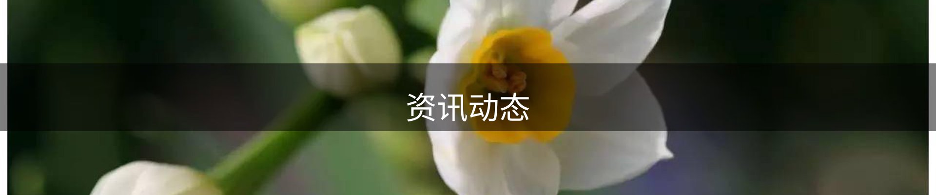 资讯动态
